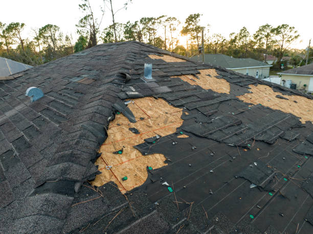 Best Roof Ventilation Installation  in Milton, FL